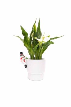 Full Colour Snow Man Pot Buddy - L10.5 x W7.8 x H5.4 cm