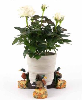 Coloured Mallard Duck Plant Pot Feet - Set of 3