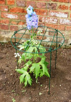 30 Inches Conical Plant Support (Pack of 4) - Steel - L35.6 x W35.6 x H76.2 cm - Green