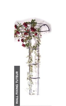 Wall Fixing Tuteur - Border Plant Support - Steel - L56 x W109 x H195 cm - Powder Coated Black