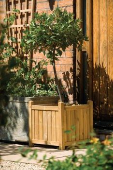 Square Planter - L50 x W50 x H50 cm