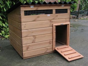 Swinford Duck House - Poultry coop for waterfowl - L84 x W90 x H86 cm