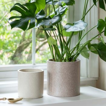 Valetta Terrazzo Planter (Set of 3) - Cement - Ivory