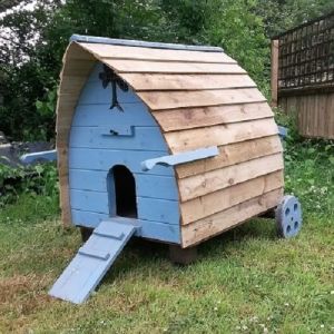 Buttercup Chicken Pod