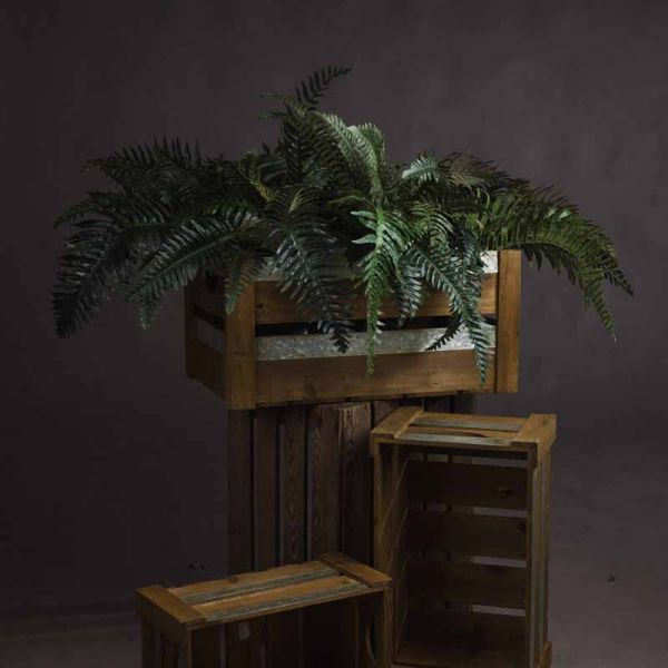 Fern Bunch Artificial Plant - Fabric/Plastic - L80 x W57 x H60 cm - Green