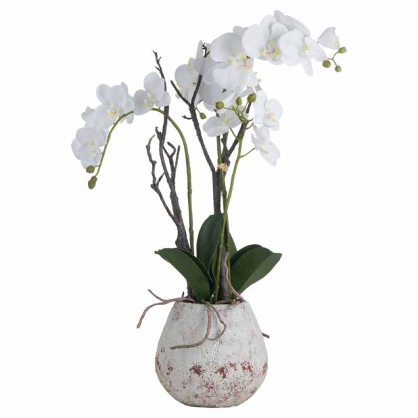 Orchid in Stone Pot Artificial Flower - Plastic - L46 x W46 x H70 cm - White