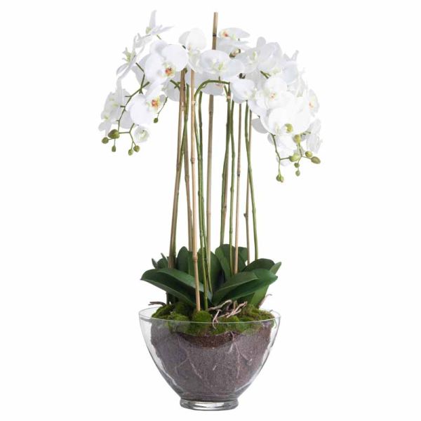 Large Orchid in Glass Pot Artificial Flower - Plastic - L70 x W70 x H88 cm - White