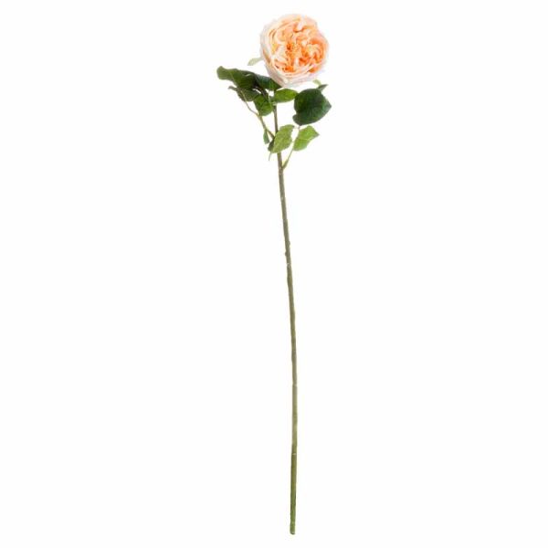 Butter Portland Rose Artificial Flower - L7 x W12 x H72 cm