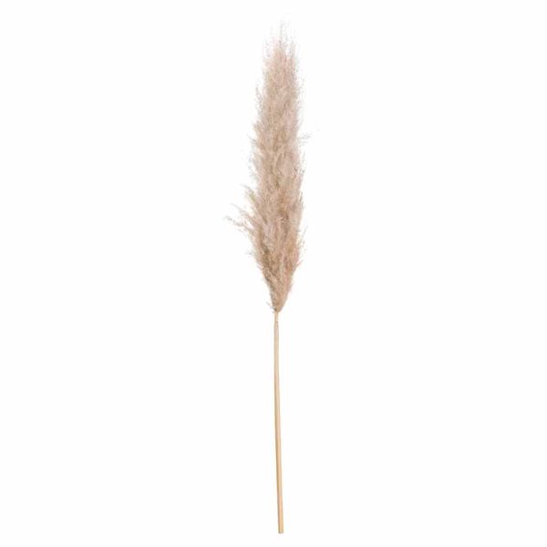 Butter Pampas Grass Artificial Plant - L8 x W23 x H110 cm