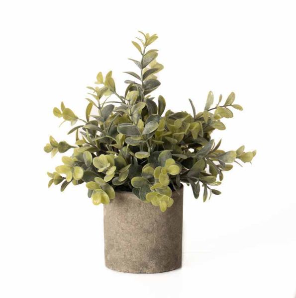Eucalyptus Plant in Stone Effect Pot Artificial Plant - Plastic - L19 x W19 x H23 cm - Green