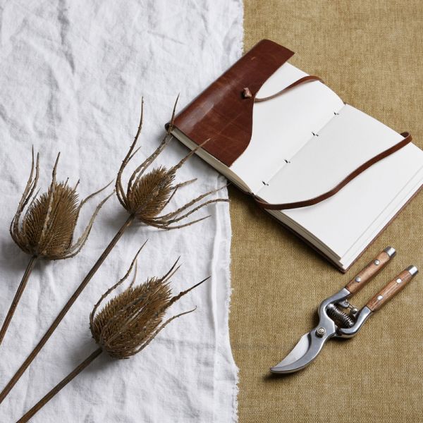 Large Triple Teasle Stem - Plastic - H85 cm - Brown
