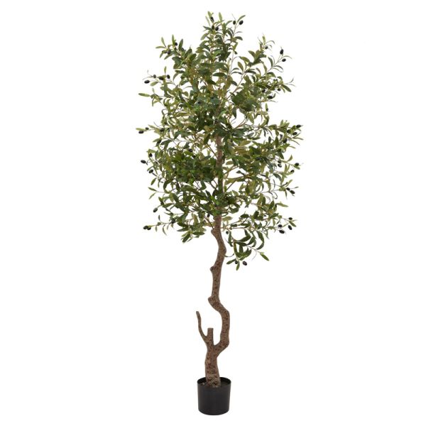 Calabria Large Olive Tree - Plastic - L17 x W17 x H180 cm - Green