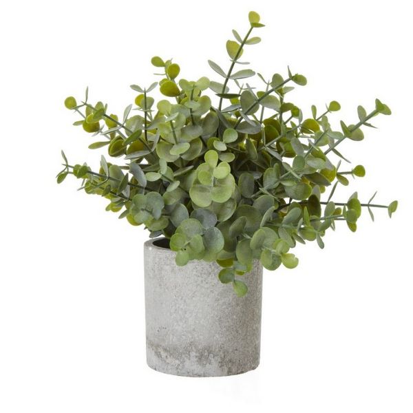 Small Button Eucalyptus Plant in Pot - Plastic - Height 22 cm - Green/Grey