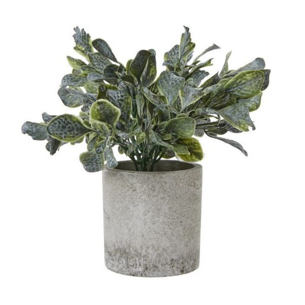 Small Giana Eucalyptus Plant in Pot - Plastic - Height 20 cm - Green/Grey