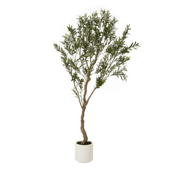 Apulia Olive Tree Pot - Plastic - Height 200 cm