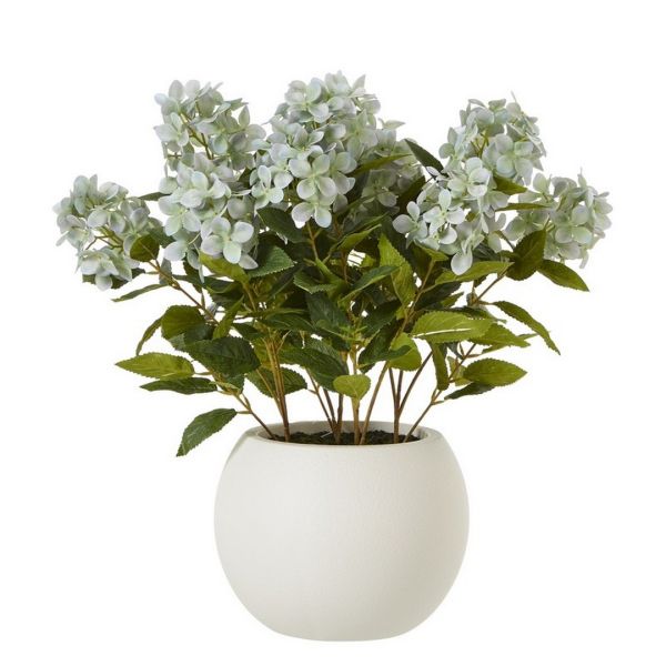Medium Hydrangea Plant in Pot - Plastic - L51 x W51 x H58 cm - Green