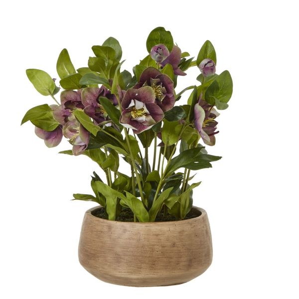 Deep Plum Hellebore Plant Pot - Plastic - L33 x W38 x H41 cm - Taupe
