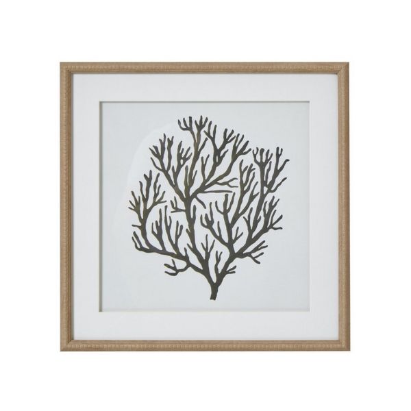 Atol Coral Art Mounted in Beaded Frame - Glass - L2 x W40 x H40 cm - Brown