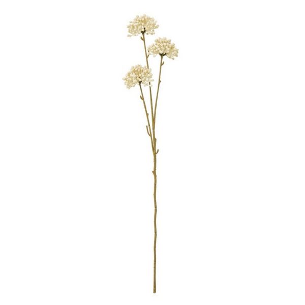 Allium Spray (Single Stem Flower) - Plastic - Height 60 cm - Cream