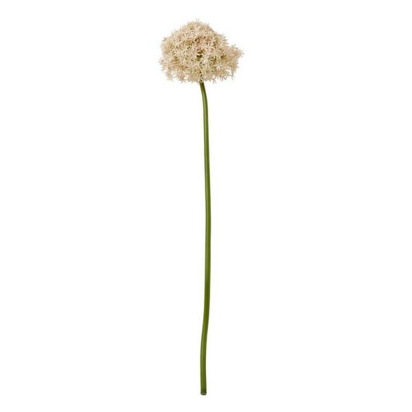 Pink Giant Allium (Single Stem Flower) - Plastic - L21 x W21 x H90 cm - Pink