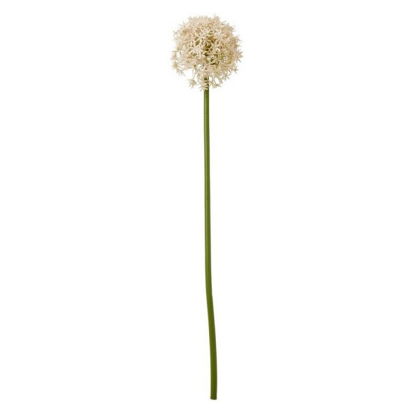 Pink Medium Allium (Single Stem Flower) - Plastic - L16 x W16 x H80 cm - Pink
