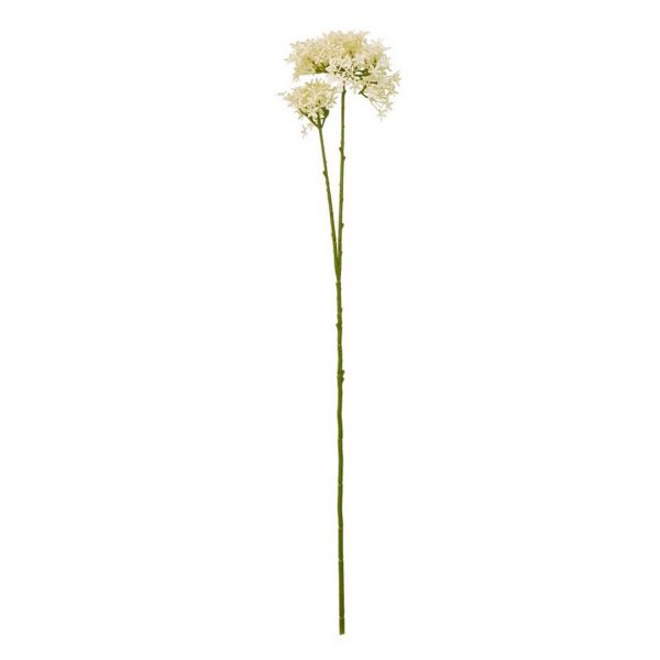 Crown Hydrangea (Single Stem Flower) - Plastic - L15 x W18 x H71 cm - Cream
