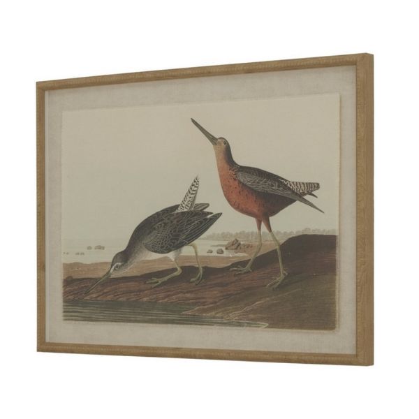 Flora & Fauna Collection Snipes on Linen in Beaded Frame - Glass - L2 x W62 x H45 cm - Brown