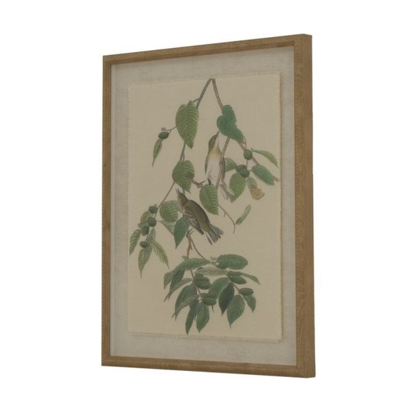 Flora & Fauna Collection Warblers on Linen in Beaded Frame - Glass - L2 x W40 x H50 cm - Brown