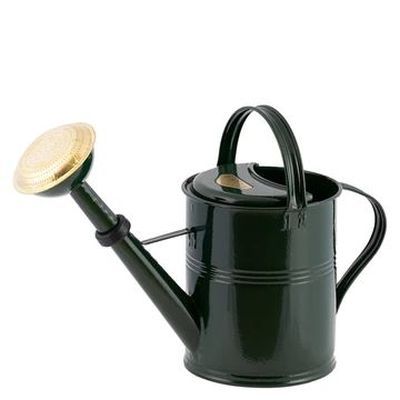 5L Watering Can - Metal - L48 x W21 x H31 cm - Green