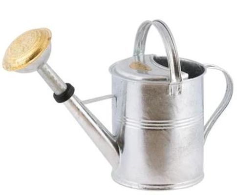 5L Watering Can - Metal - L48 x W21 x H31 cm - Zinc