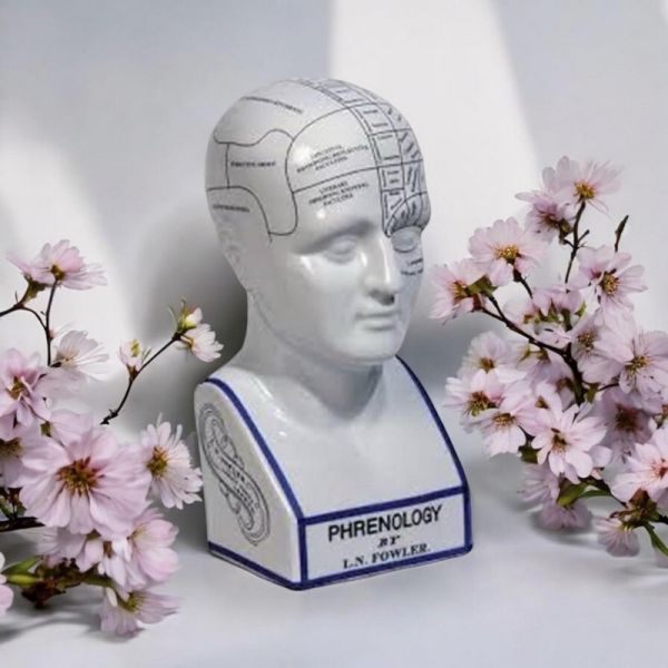 16 Inch Phrenology Head Ornament - Ceramic - L15 x W15 x H40 cm