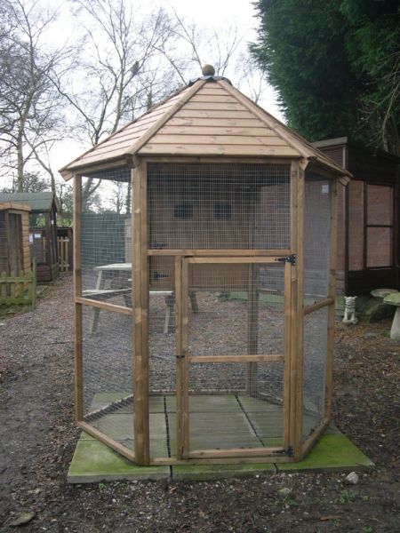 Buttercup Hexagonal Outdoor Bird Aviary 8' diameter with nesting box