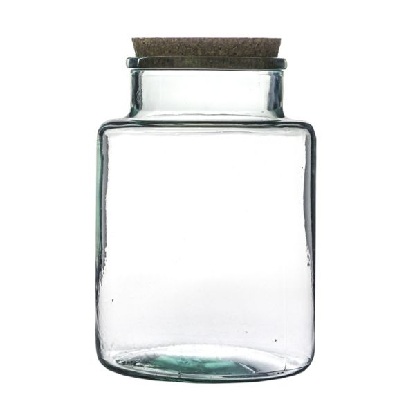 Bottle Shape Large Terrarium DIY Kit - Glass - L19 x W19 x H26.5 cm - Clear