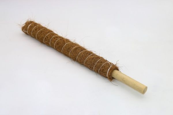 Growpoles - Fibre/Wood  - L80 x W5 x H5 cm