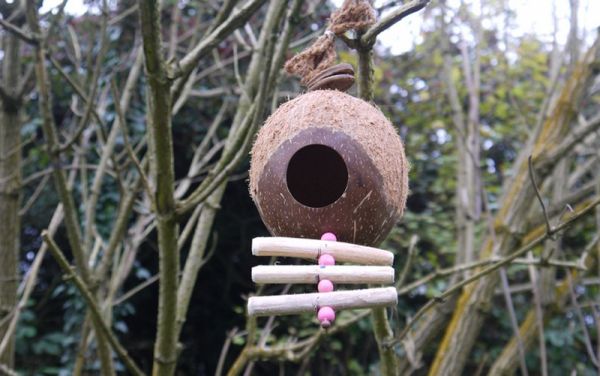 Coir Robin Bird Nest - Coconut Shell - L25 x W25 x H12 cm