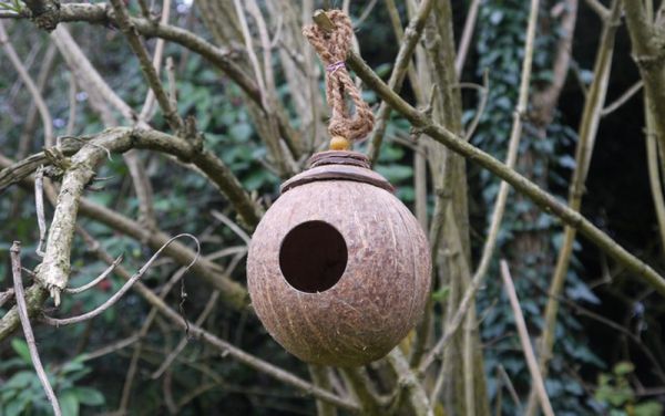 Nestling Nook Bird Nest - Coconut Shell - L25 x W25 x H12 cm