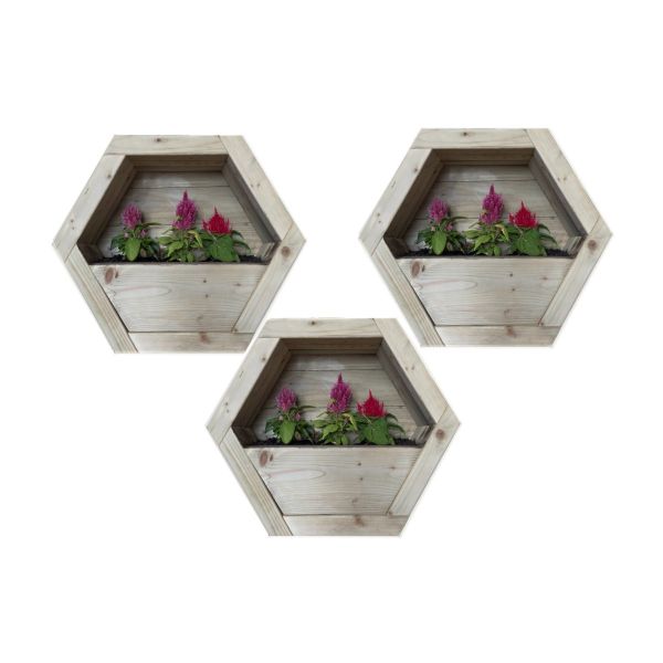 Medium Hanging Wooden Hexagon Wall Planter (Set of 3) - L16 x W44 x H38 cm - Fully Assembled