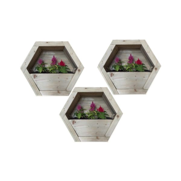 Hanging Wooden Hexagon Wall Planter (Set of 3) - L16 x W34 x H30 cm - Fully Assembled