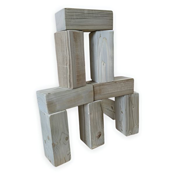 10x Large Regal Play Brick Blocks for Indoor and Outdoor Use - L19.5 x W9.5 x H7.5 cm