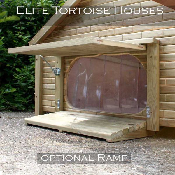 Optional Detachable Ramp for Tortoise House