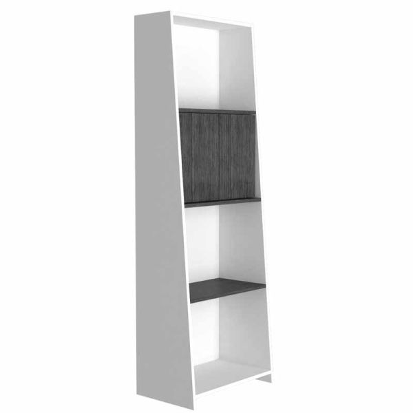 bookcase with doors