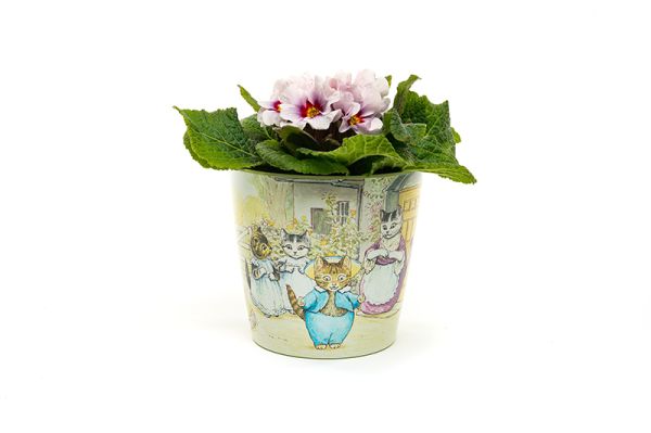 Beatrix Potter Peter Rabbit Eco Pots Set 2 - L13 x W13 x H12.5 cm