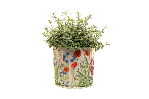 Iona Buchanan Meadow Fabric Eco 23L Pots - L45 x W45 x H27 cm - Cream