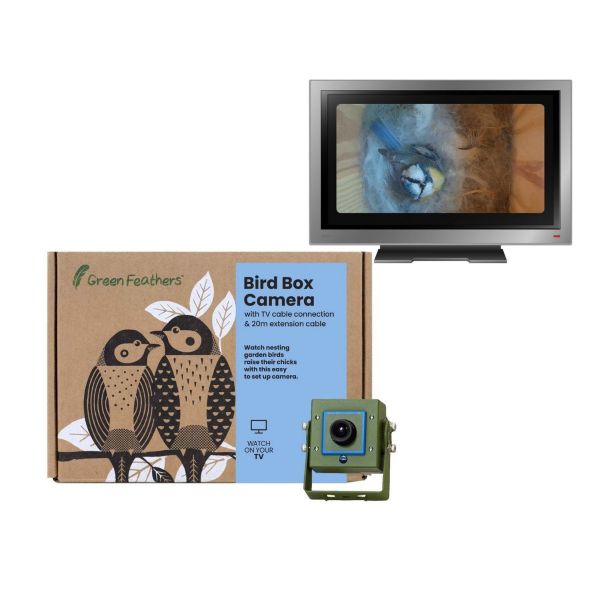 Wired Bird Box Camera with Night Vision (Spare camera only) Green, 8 Volt PSU 2.1mm Jack - L13.5 x W19 x H6.5 cm