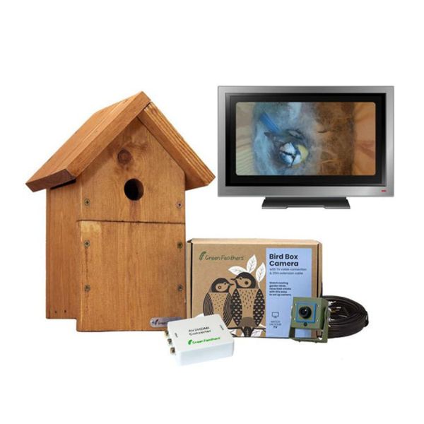 Cable Connection 1080p HD Camera and Small Wooden Bird Box Starter Pack