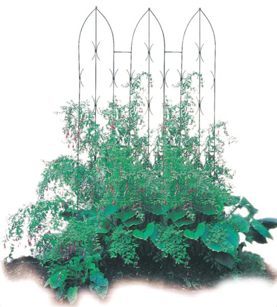 Triple Gothic Screen - Decorative Garden Screen, Plant Support - Solid Steel - W58 x H180 cm - Black