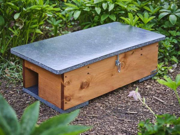 Large Hedgehog Feeding Station - Eco Friendly Wood