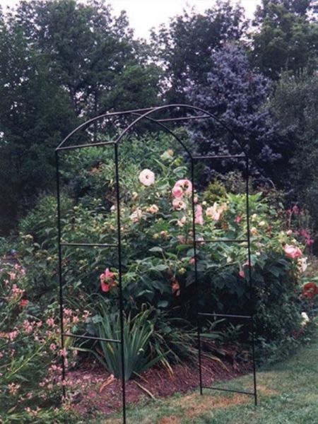 Monet Arch Hardstanding Bare Metal/Ready to Rust, Garden Metal Arch for Climbers - Solid Steel - L53 x W152 x H143 cm