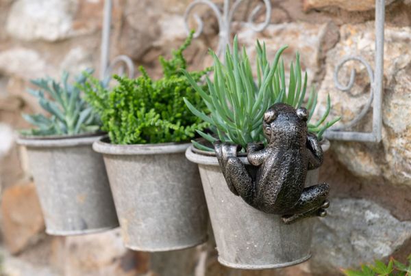 Frog Plant Pot Hanger - L10.5 x W11 x H5 cm