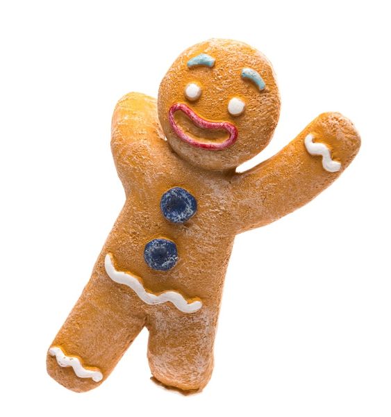 Full Colour Gingerbread Man Pot Buddy - L11 x W6.5 x H3 cm